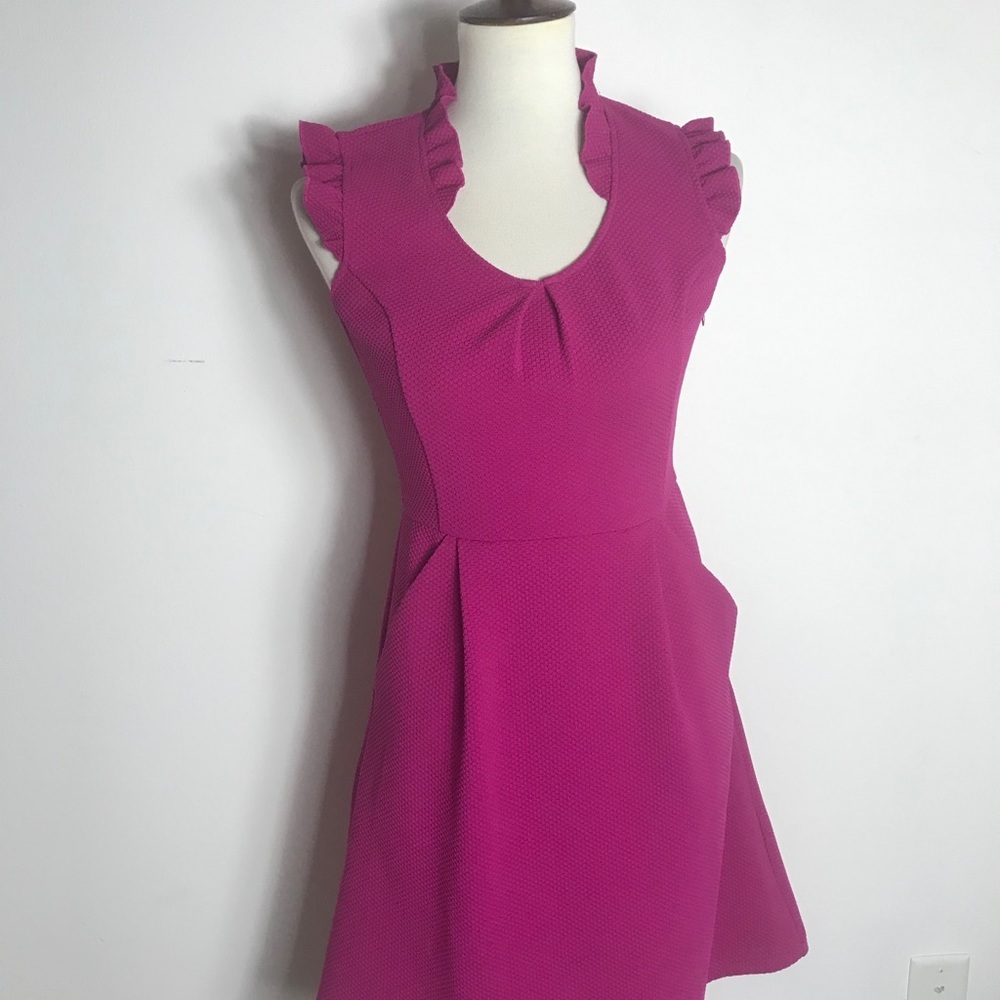 Anthropologie Tabitha Pink Fit and flare dress